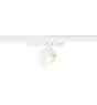 SLV Track Spot Kalu 2.0 3-Phase Aluminium White 10W 1450lm 36D - 840 Cool White | Best Colour Rendering - Dimmable